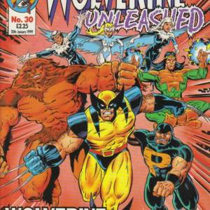 wu1996issue030.jpg