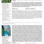 tahem2009issue001c.jpg