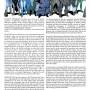 tahem2009issue001b.jpg